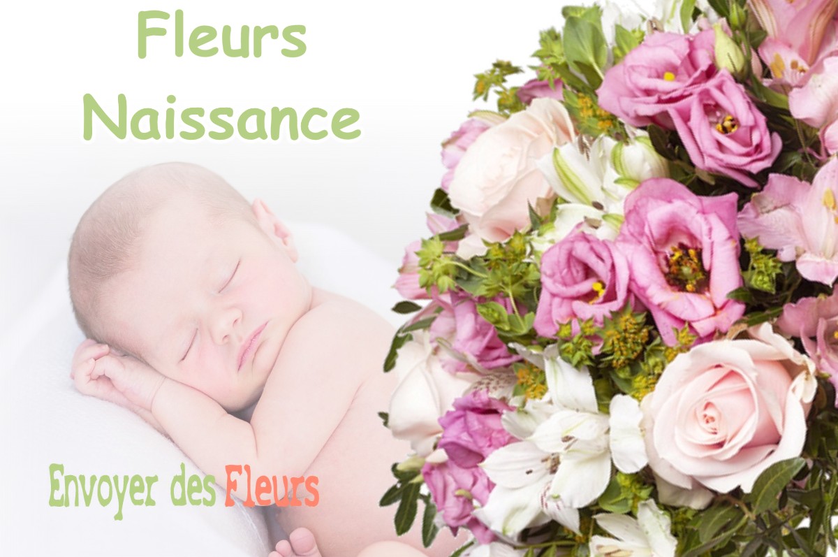 lIVRAISON FLEURS NAISSANCE à DIEUE-SUR-MEUSE